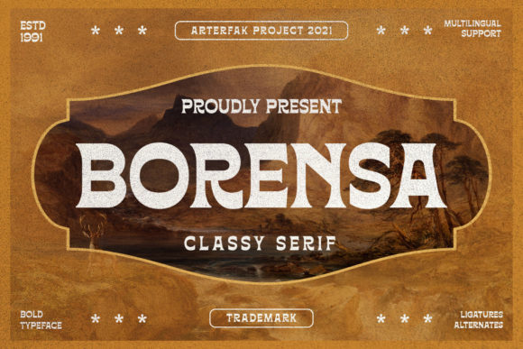 Borensa: How a Bold Display Font Transformed Our Campaign Visuals