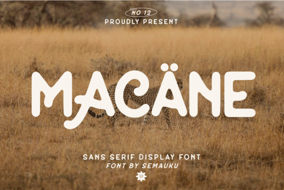 Macane: A Vintage Display Font That Elevates Small Business Branding